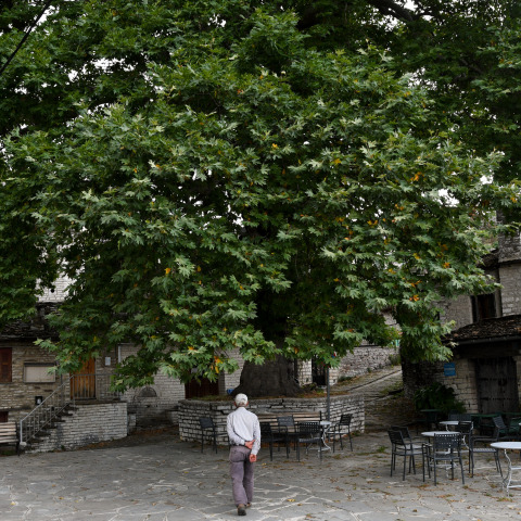 Ζαγοροχώρια