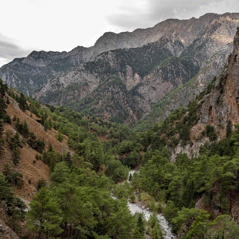 Το φαράγγι της Σαμαριάς