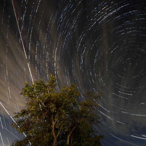Περσείδες στη Βόρεια Μακεδονία