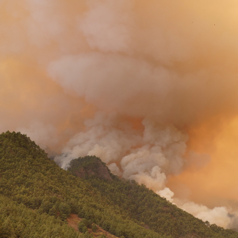 Φωτιά στην Τενερίφη