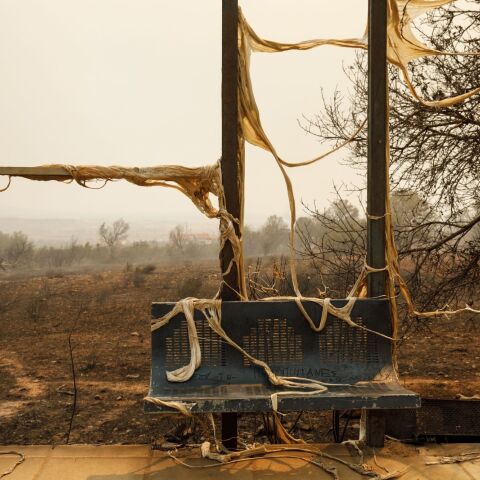 Καταστροφή από το πύρινο μέτωπο στην Αλεξανδρούπολη ©Konstantinos Tsakalidis / SOOC