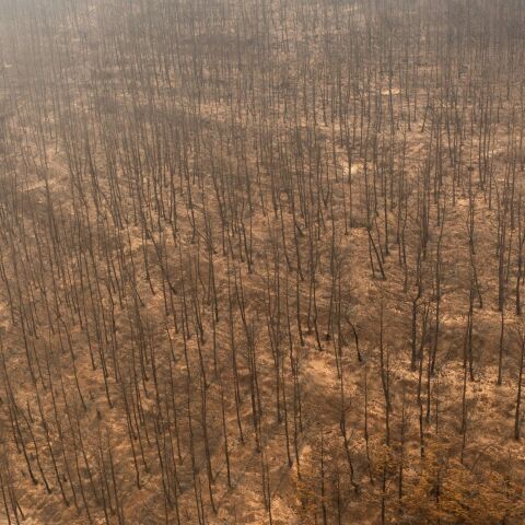 Καταστροφή από το πύρινο μέτωπο στην Αλεξανδρούπολη ©Konstantinos Tsakalidis / SOOC