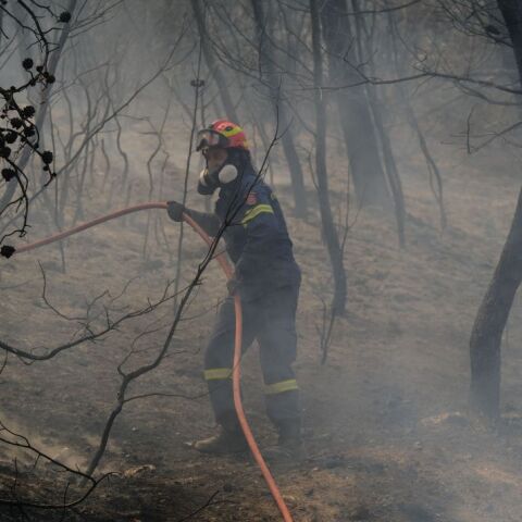 Μάχη για την κατάσβεση της φωτιάς στη Φυλή © Alexandros Michailidis / SOOC