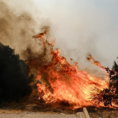 Πύρινο μέτωπο στη Χασιά ©Alexandros Michailidis / SOOC