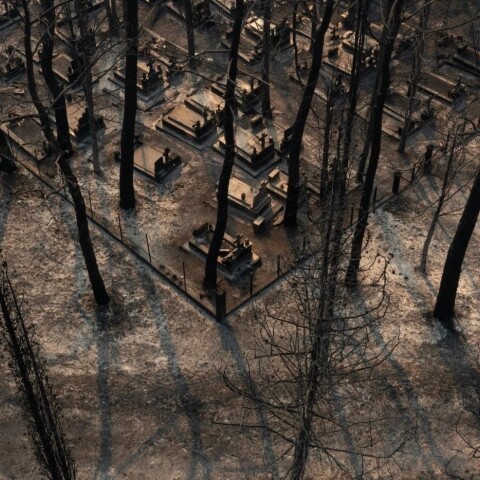 Εικόνα καταστροφής από τη φωτιά στην Αλεξανδρούπολη ©Konstantinos Tsakalidis / SOOC