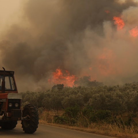 Φωτιά στην Αλεξανδρούπολη: Τα ενεργά μέτωπα και οι ενέργειες κατάσβεσης