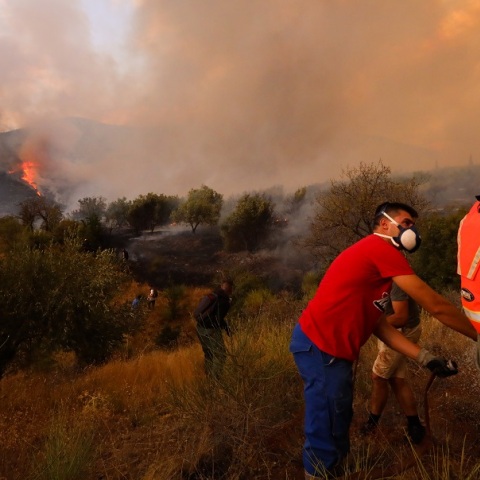 Φωτιά στη Βοιωτία: Μήνυμα 112 για εκκένωση οικισμών