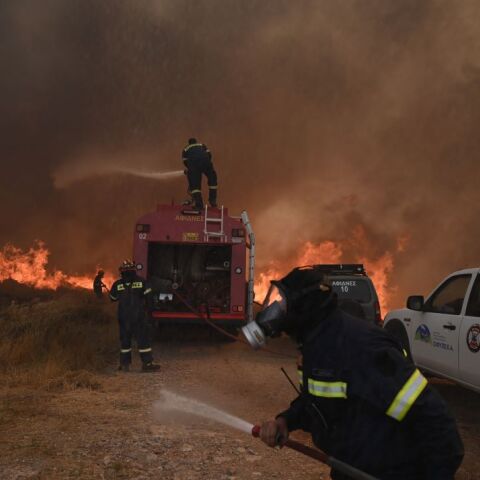  Δραματικές ώρες στον Εθνικό Δρυμό Πάρνηθας ©Nephele Nomikou/ SOOC