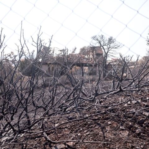 © ΚΩΣΤΑΣ ΤΖΟΥΜΑΣ / EUROKINISSI