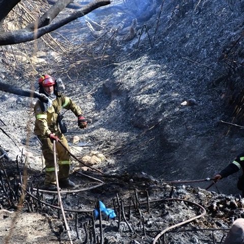 Φωτιές: Αναζωπυρώσεις σε Έβρο, Πάρνηθα, Βοιωτία 