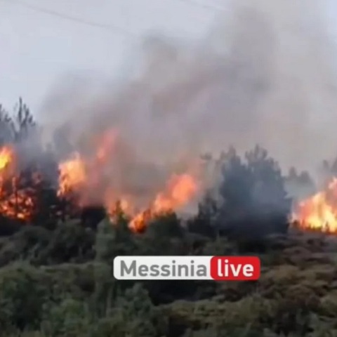 Φωτιά τώρα στον Ταΰγετο 