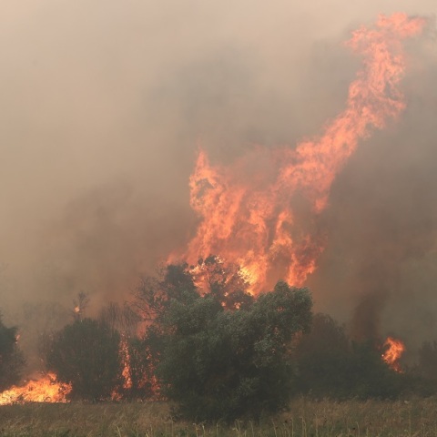 Φωτιά στον Έβρο: Μήνυμα 112 για εκκένωση του χωριού Αύρα