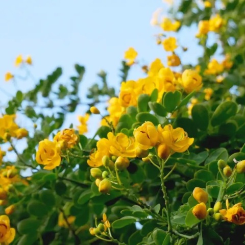 Εορτολόγιο: Σήμερα 28 Αυγούστου 2023 γιορτάζει…