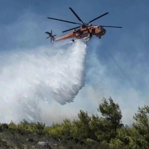 Φωτιά τώρα στη Μεσσηνία: Δύο μέτωπα σε Πλάτσα και Καλό Νερό