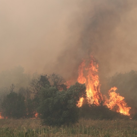 Φωτιά στον Έβρο: Μήνυμα του 112 για εκκένωση της Λευκίμμης
