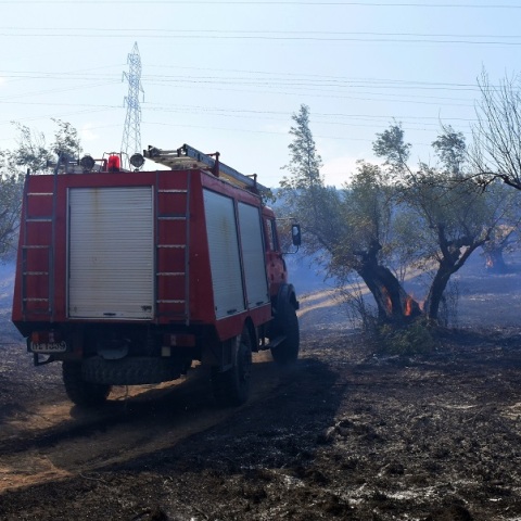 Καστοριά: Κεραυνός έκαψε κτηνοτροφική μονάδα στην Μεσοποταμία
