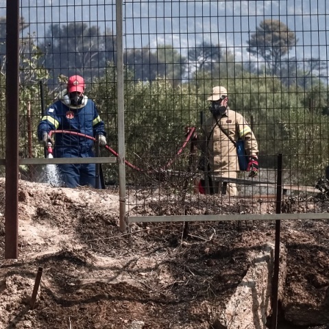 Φωτιά στην Πάρνηθα: Εντοπίστηκε καμένο κρανίο