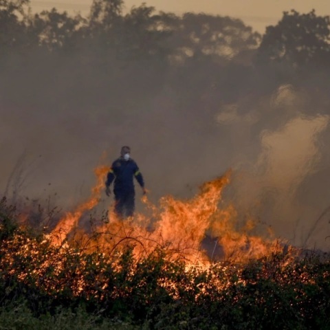 Πυρκαγιές: 105 σε όλη την επικράτεια - Η ενημέρωση της Πυροσβεστικής