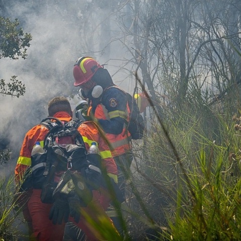 Φωτιά τώρα στην Παιανία