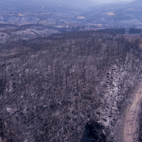 Φωτιά στην Αλεξανδρούπολη: H μεγαλύτερη που έχει καταγράψει η ΕΕ