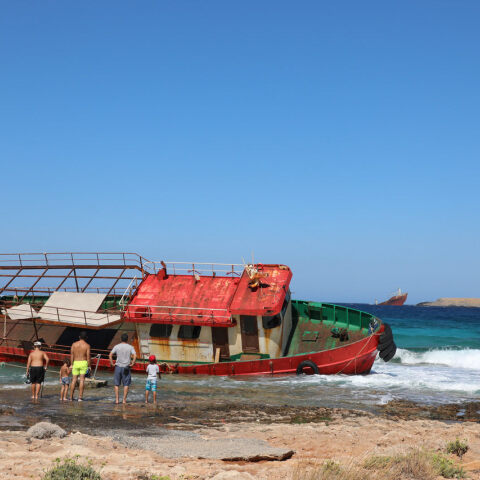 Ρούλα Σχίζα: My Voyage to Serendipity