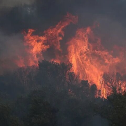 Μεγα-πυρκαγιές: Γιατί καιγόμαστε; Πού κάνουμε λάθος; Τι πρέπει να γίνει;
