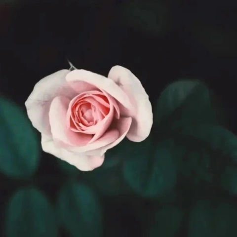 Εορτολόγιο: Σήμερα 1 Σεπτεμβρίου 2023 γιορτάζει…