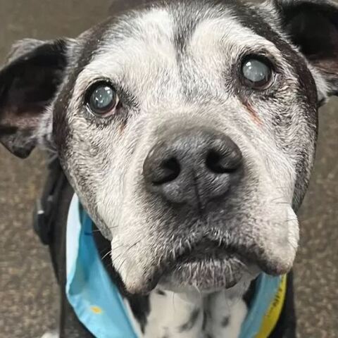 Ο 23χρονος Τάι έκλεισε ένα χρόνο με τους νέους του κηδεμόνες