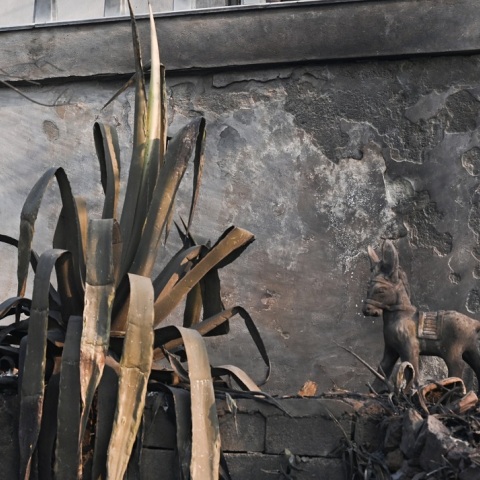 Στιγμιότυπο από τη φωτιά στην Πάρνηθα