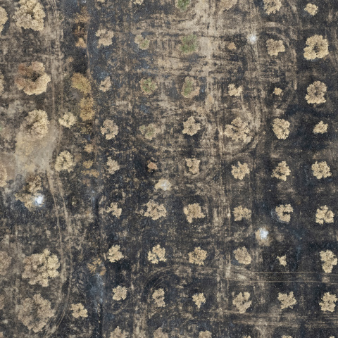 Καμένες εκτάσεις στα Δίκελα Αλεξανδρούπολης