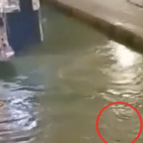 Blue Horizon: Βίντεο από τη στιγμή που πνίγεται ο 36χρονος