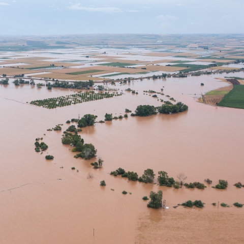 Πλημμυρισμένες εκτάσεις δίπλα στο χωριό Πηνειάδα στα Τρίκαλα κατά την διάρκεια της κακοκαιρίας Daniel
