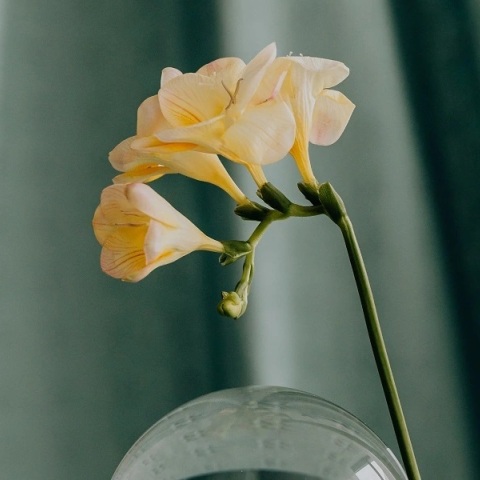 Εορτολόγιο: Σήμερα 11 Σεπτεμβρίου 2023 γιορτάζει…