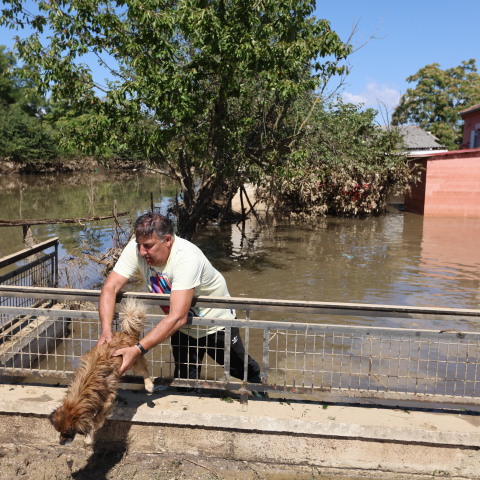 Πλημμύρες στον θεσσαλικό κάμπο