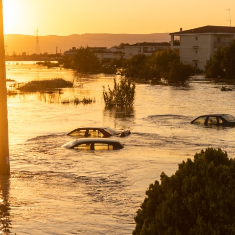 Πλημμυρισμένα αυτοκίνητα και σπίτια στη Λάρισα