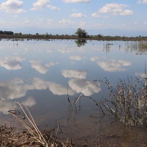 Καταστροφές στον θεσσαλικό κάμπο από την κακοκαιρία Daniel