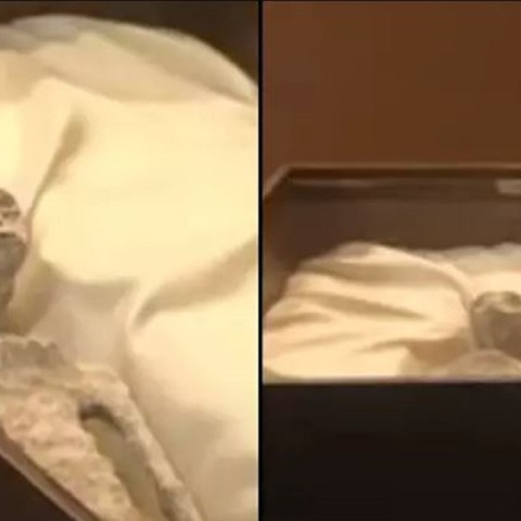 Τα δύο πτώματα εξωγήινων που έδειξε ουφολόγος στο Μεξικό