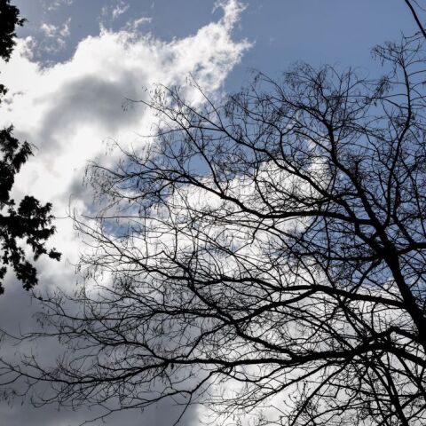 © ΓΙΩΡΓΟΣ ΚΟΝΤΑΡΙΝΗΣ/EUROKINISSI