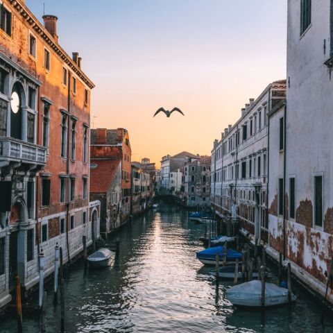 © Federico Beccari/ Unsplash