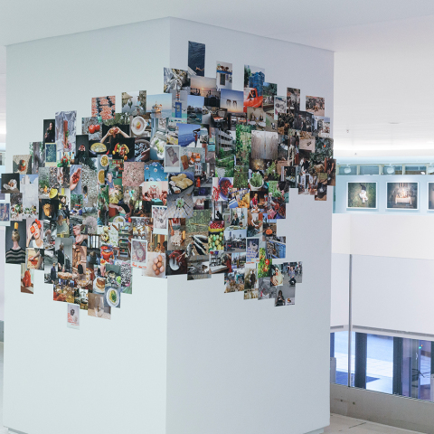 Foodprint: Μπορεί μία εικόνα να αποτυπώσει τις αξίες της μεσογειακής διατροφής;