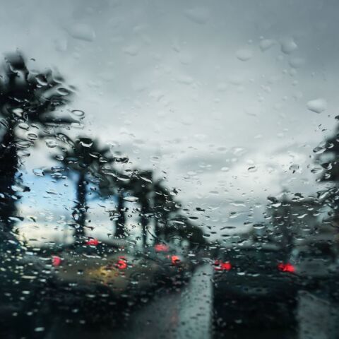 Πυροσβεστική: 337 κλήσεις για κοπές δέντρων και βοήθεια