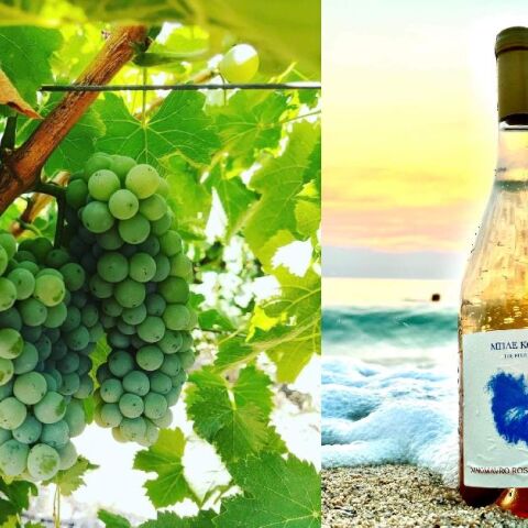 «Μπλε Κόκορας»