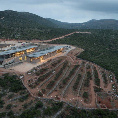 Μουσείο Μαστίχας Χίου