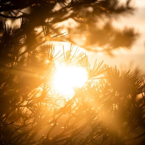 Αίθριος στο μεγαλύτερο μέρος της χώρας ο καιρός την Τετάρτη