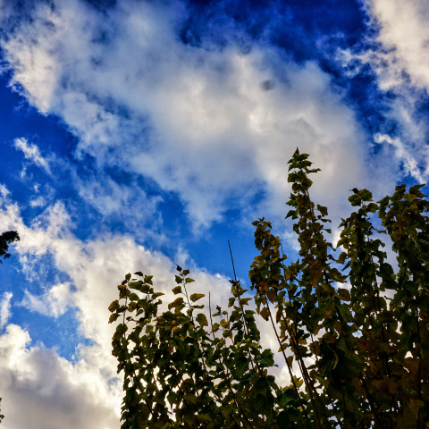 Αίθριος καιρός με λίγα σύννεφα