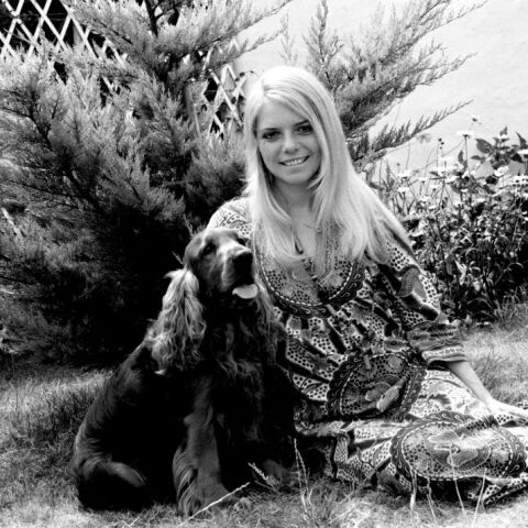 H France Gall φωτογραφημένη το 1969 © PICOT/Gamma-Rapho via Getty Images