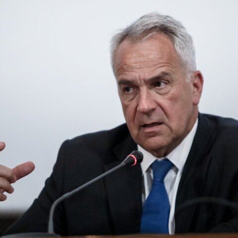 Mάκης Βορίδης