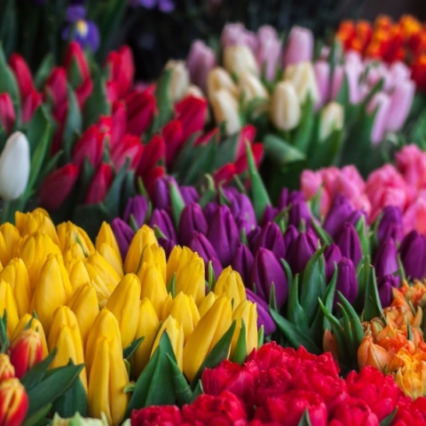 Εορτολόγιο: Σήμερα 27 Οκτωβρίου 2023 