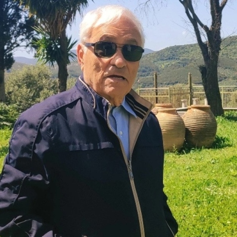 Πέτρος Θέμελης 