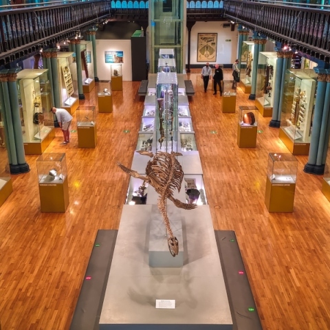 Σκωτία: Χιλιάδες έργα τέχνης έχουν εξαφανισθεί από μουσεία  